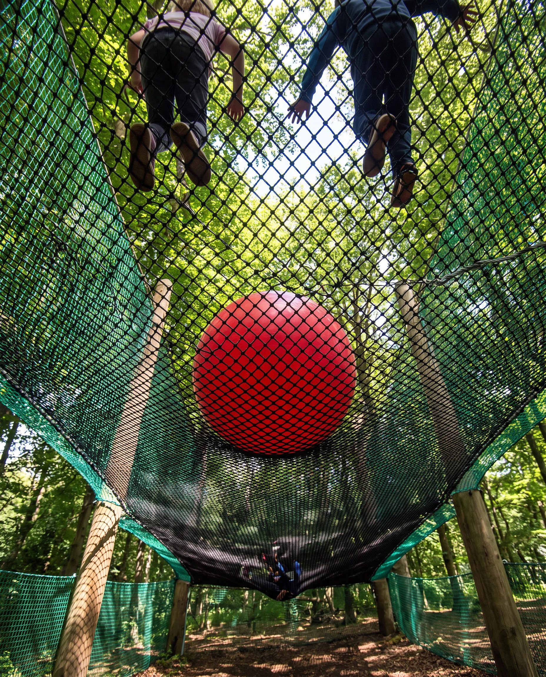 Adventure Net, photo 2