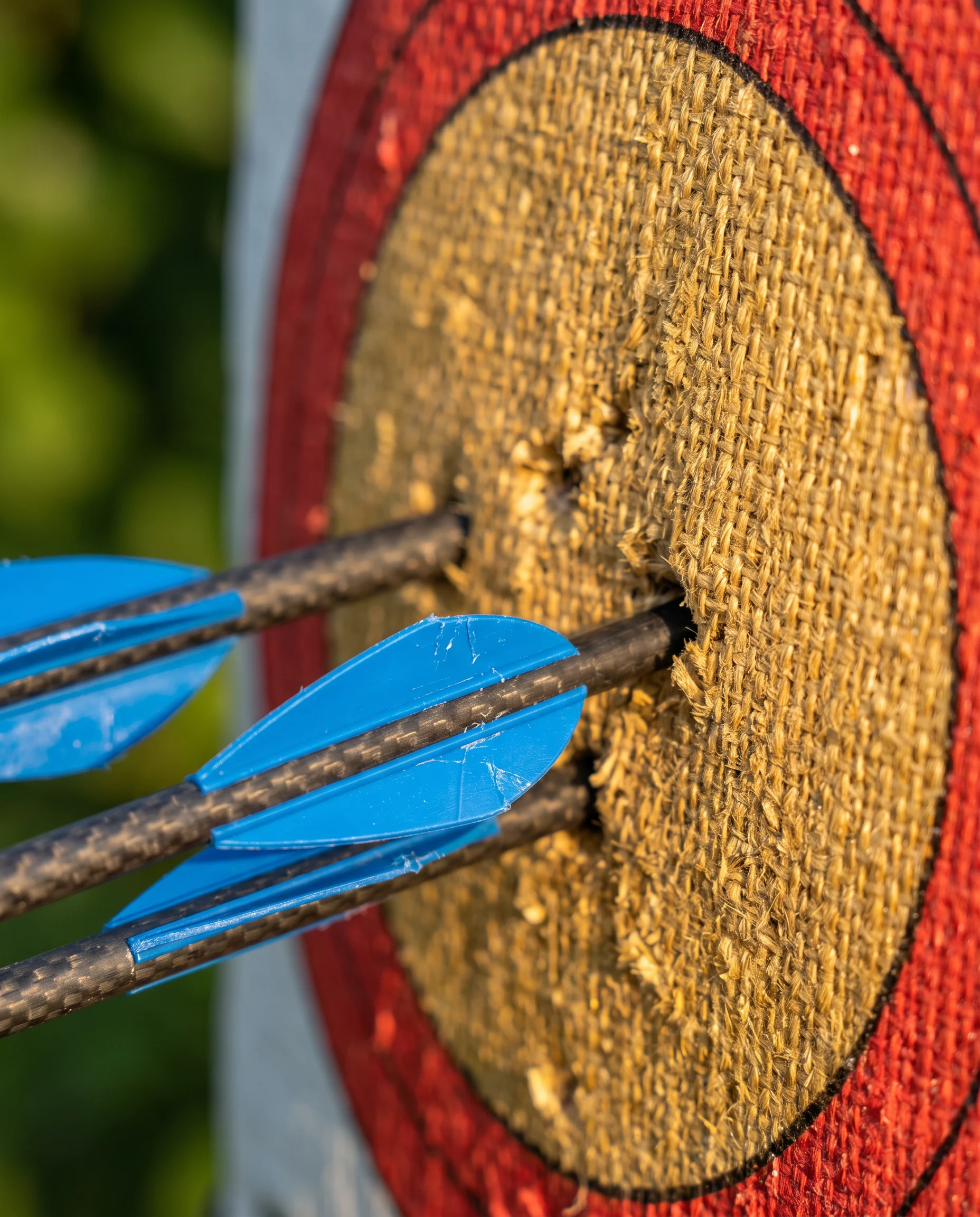 Archery Range, photo 4