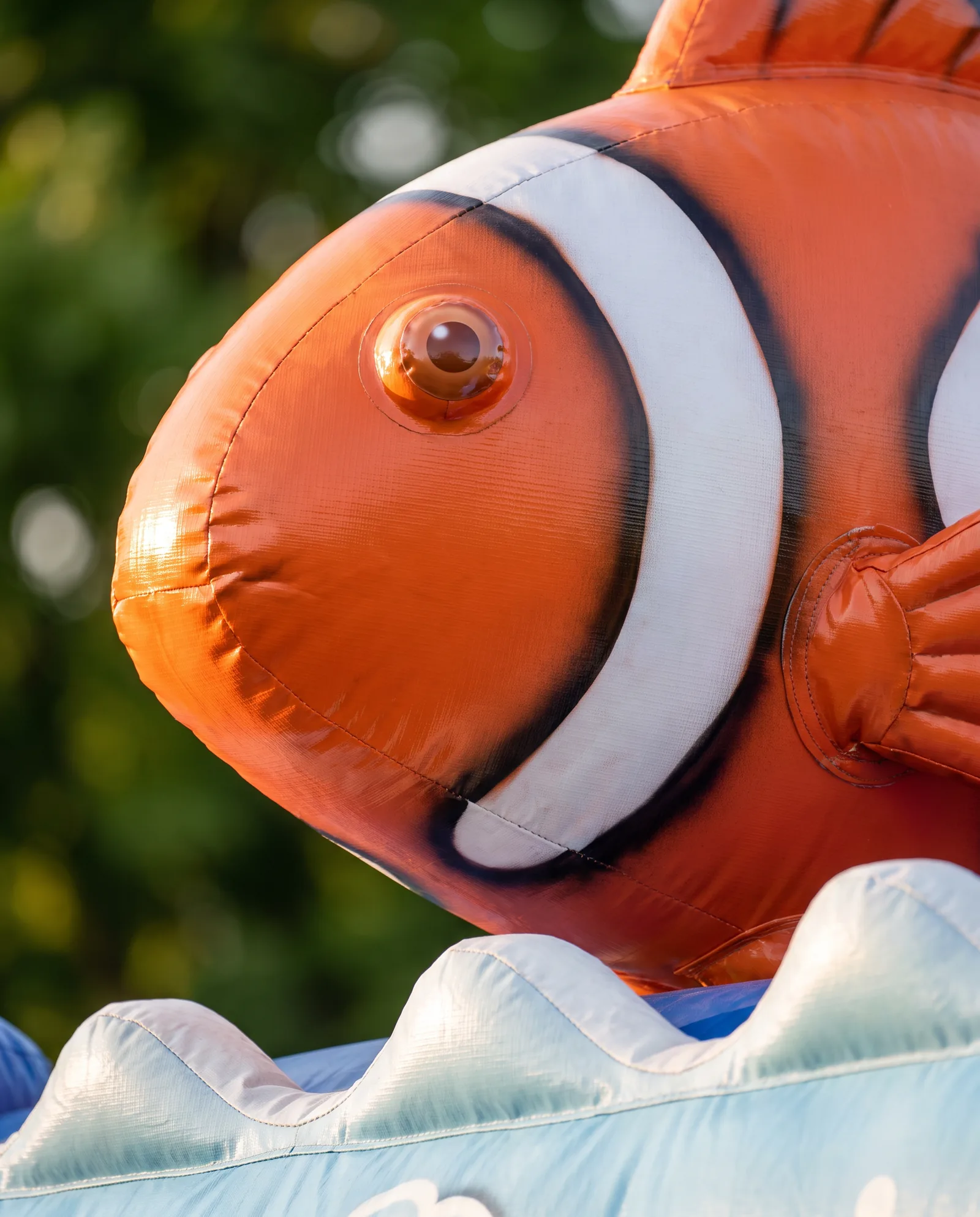 Nemo Fish Bouncer, photo 4