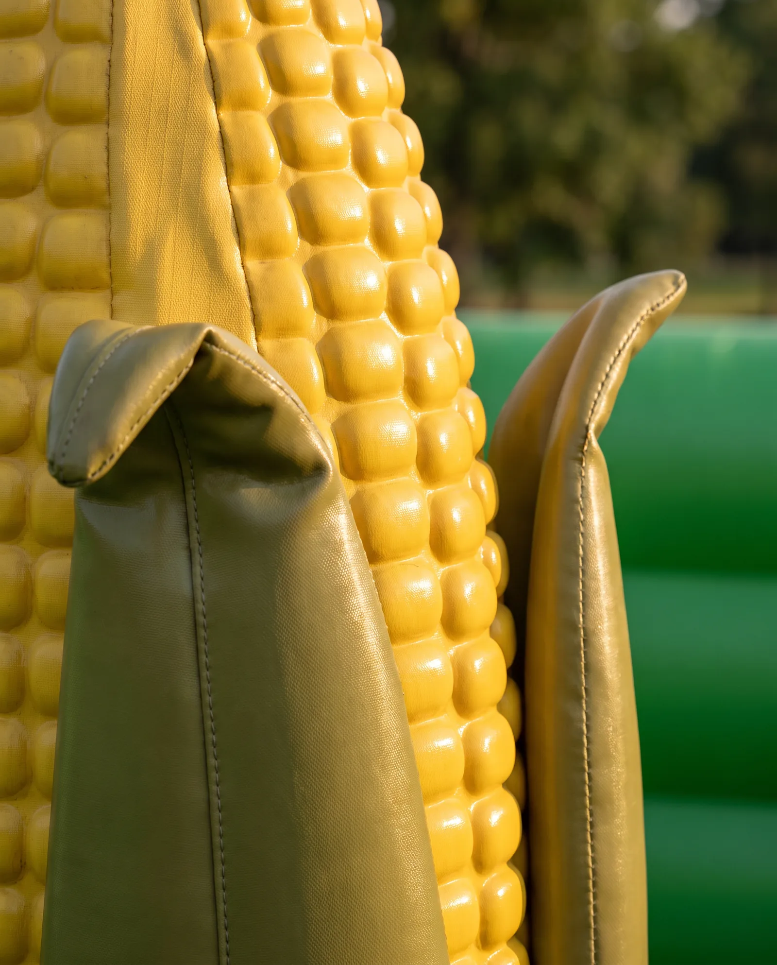 Corn Maze, photo 4