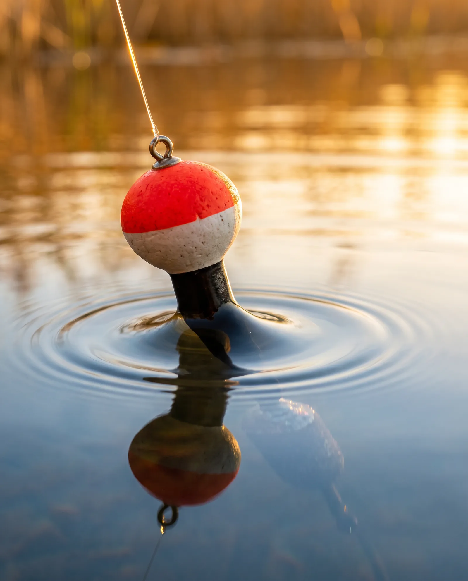 Fishing Kit, photo 4