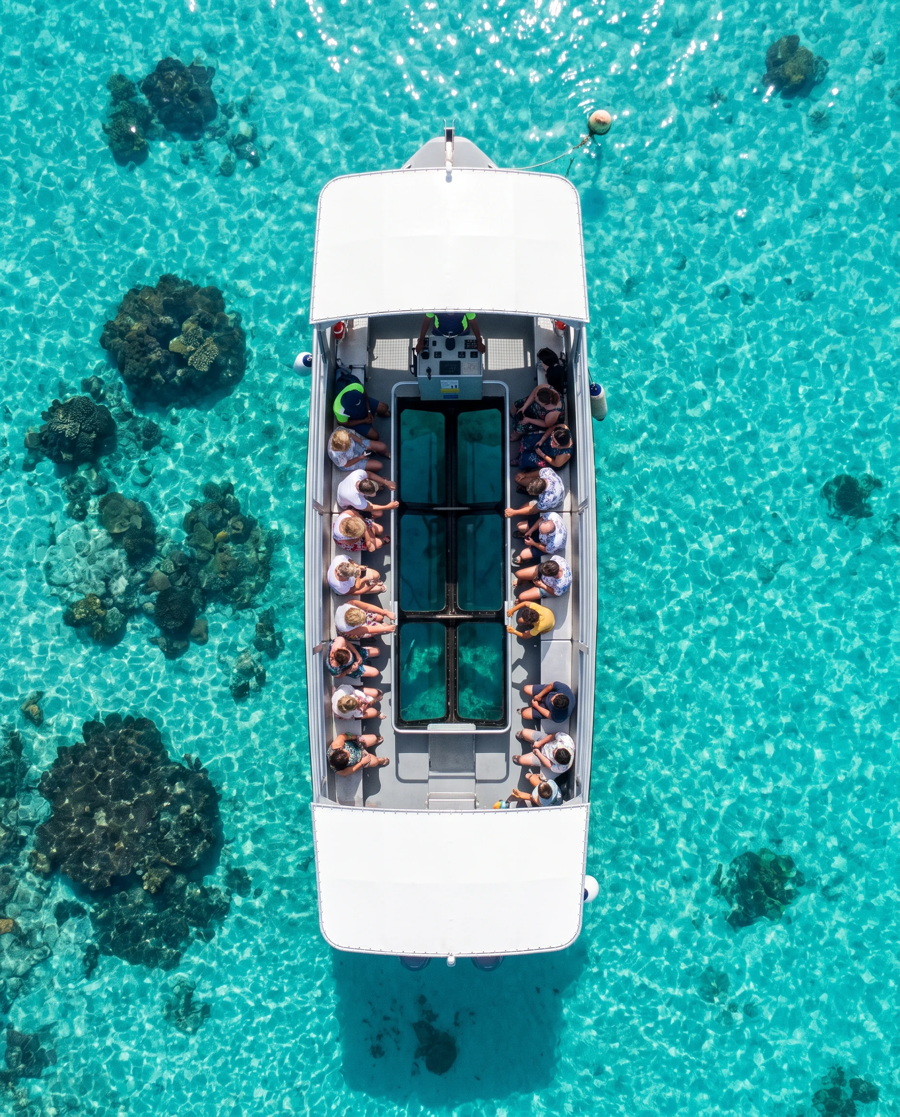 Glass Bottom Boat, photo 3