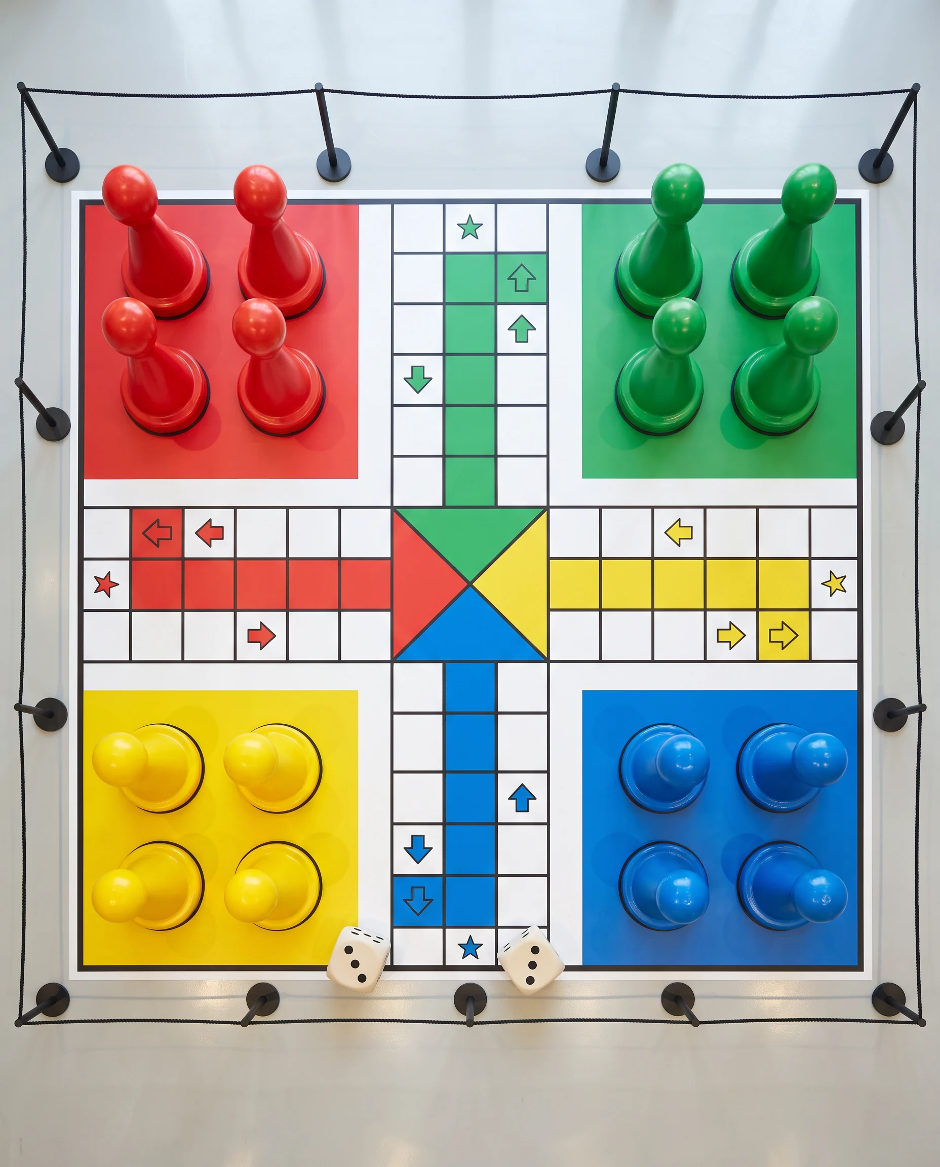 Human Ludo, photo 5