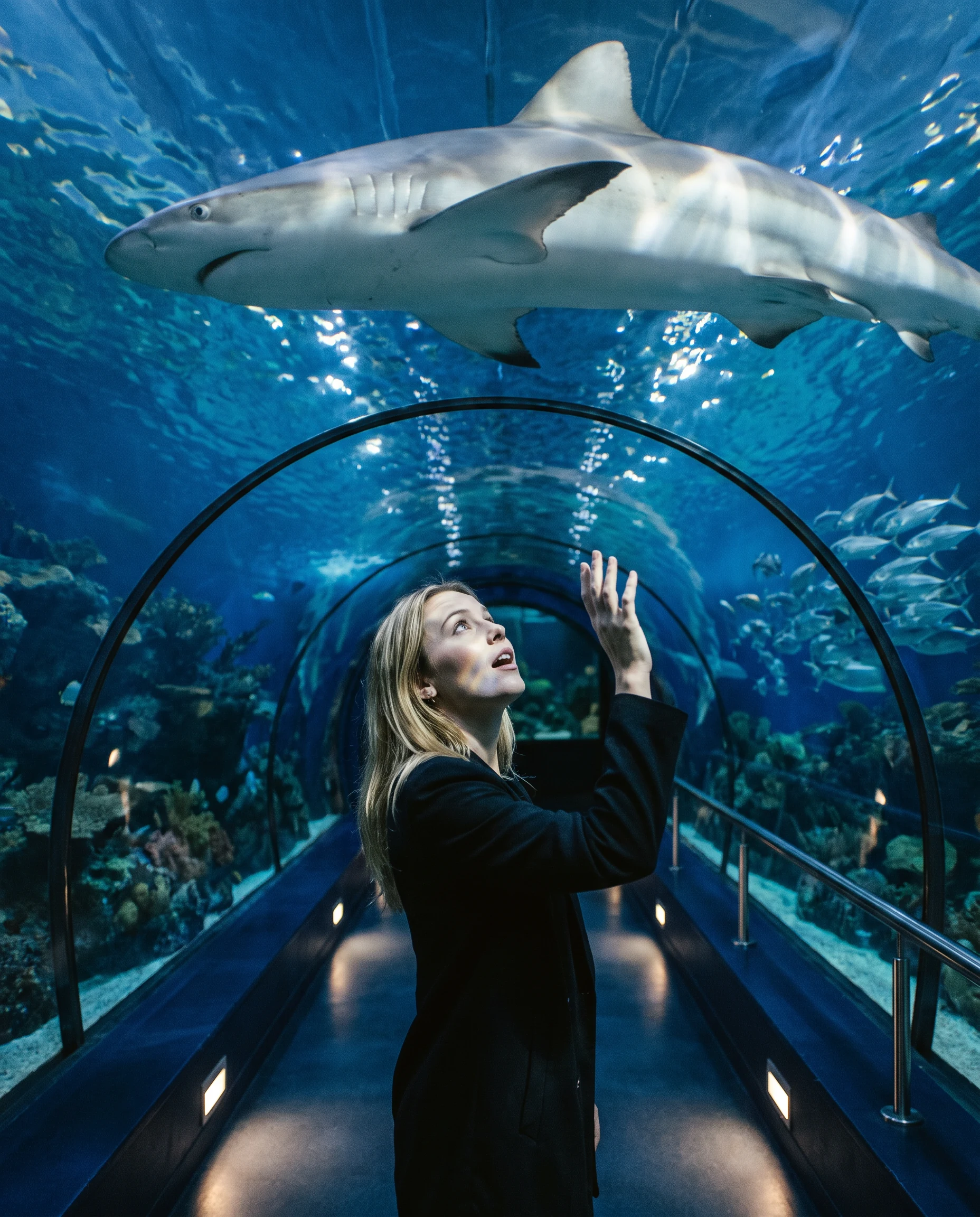 Tunnel Aquarium, photo 2
